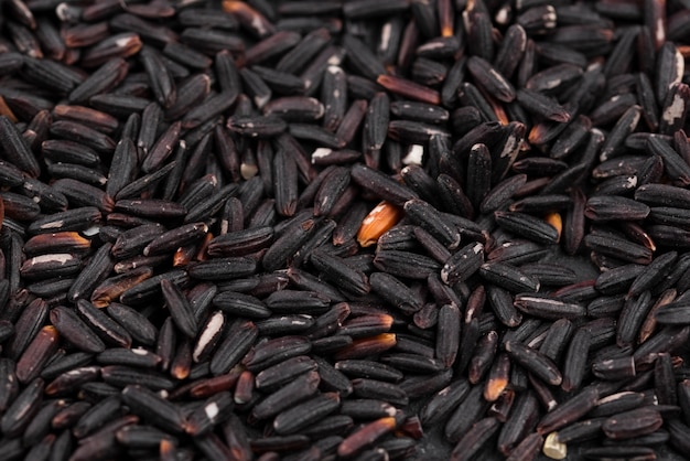 Close-up of roasted black seeds