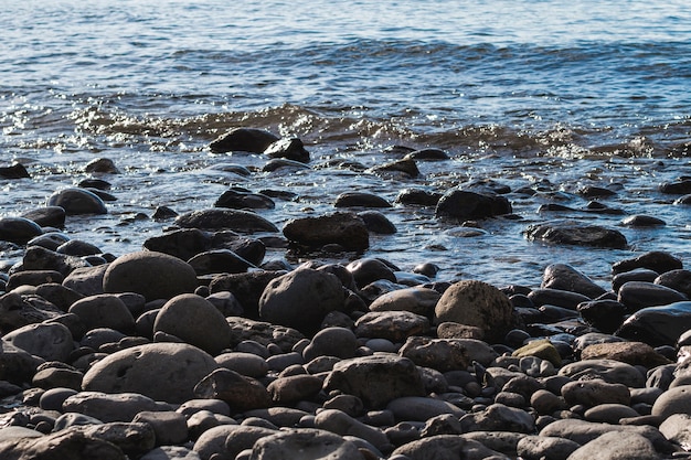 Free Photo close-up rocks on wild beach