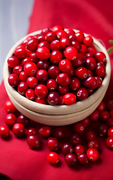 Close up on rose hip seasonal fruit for winter