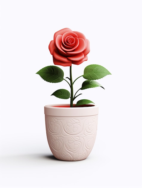 Close up on rose in pot