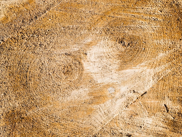 Close-up rustic wooden surface