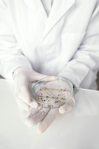 Free photo close up scientist holding petri dish with plant