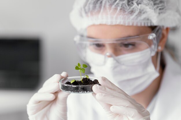 Close up scientist watching plant