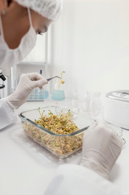 Free photo close up scientist with seeds