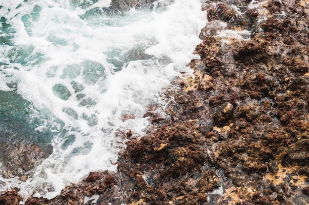 Free Photo close-up sea touching rocky shore