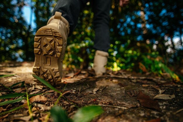 Close up  shoes of Hiker walking in the forest Trail with sunlight copy space