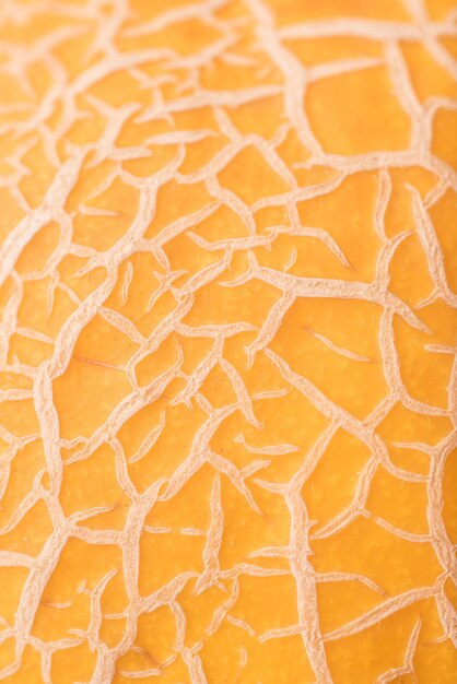 Close up shot of melon's skin