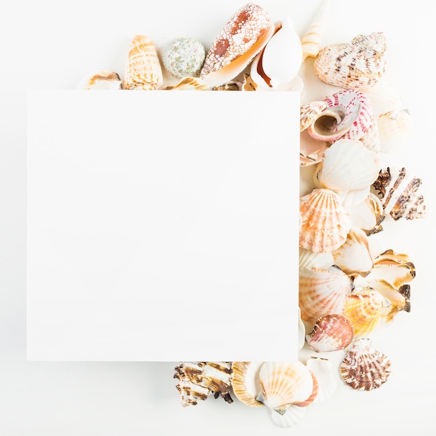 Free photo close-up shot paper sheet near seashells