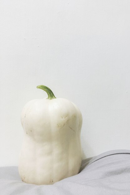 Close-up shot of a white pumpkin