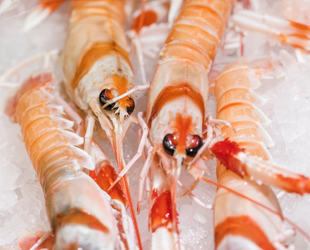 Free Photo close-up of shrimp on ice in market