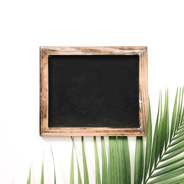 Free photo close-up of slate and palm leaf over white background