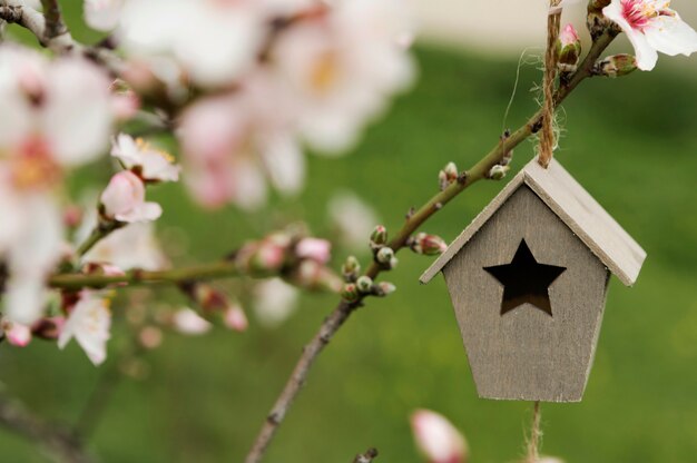 Close-up small wooden house in a tree