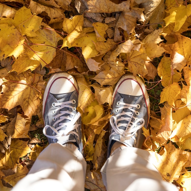 Free photo close-up sneakers on leaves background