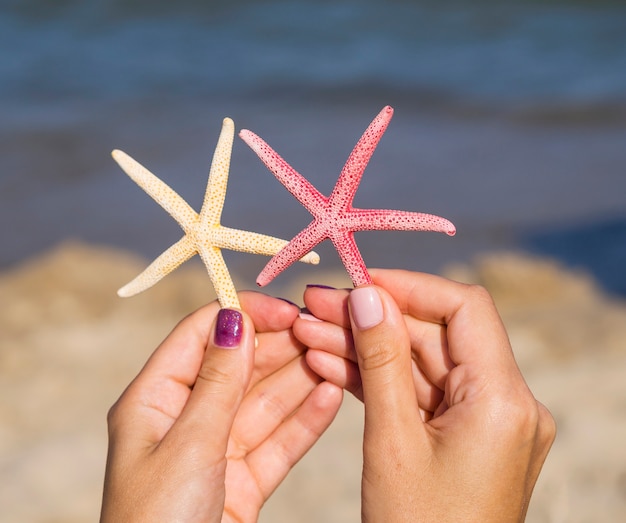 Free photo close-up of starfishes being held next to the sea