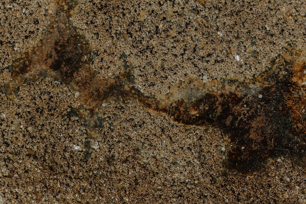 Free Photo close-up of stone texture