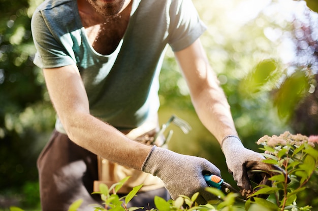 Close up of strong man in gloves cutting leaves in his garden. Farmer spending summer morning working in garden near countryside house.