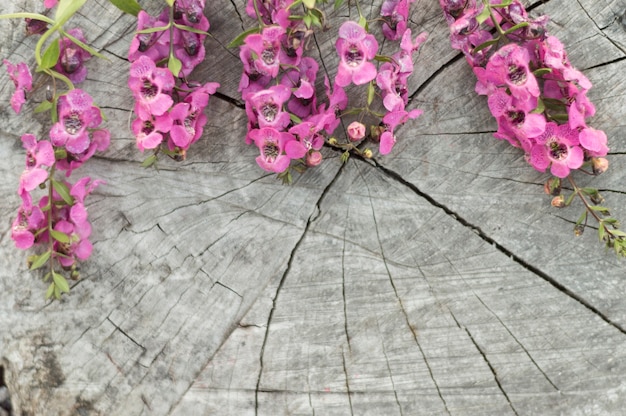 Free photo close-up of stump with purple flowers