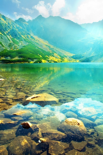 Free photo close-up of submerged stones in the lake