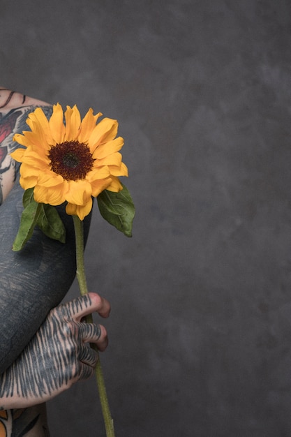 Free Photo close-up of tattoo young man holding sunflower in hand against grey backdrop with copyspace