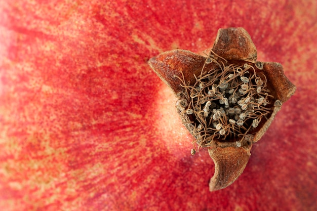 Free photo close-up texture of pomegranate fruit