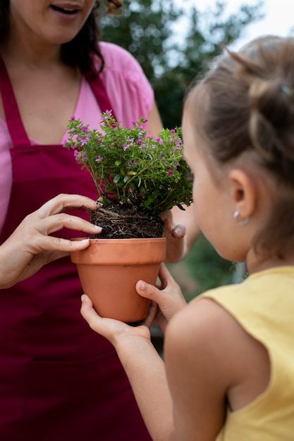 Close up on transplanting process of plants