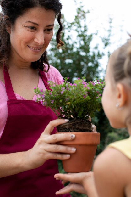 Close up on transplanting process of plants