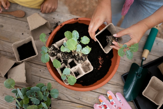 Free photo close up on transplanting process of plants