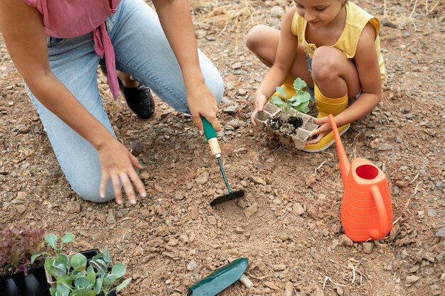 Close up on transplanting process of plants