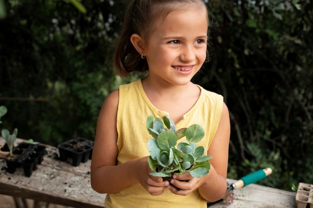 Close up on transplanting process of plants