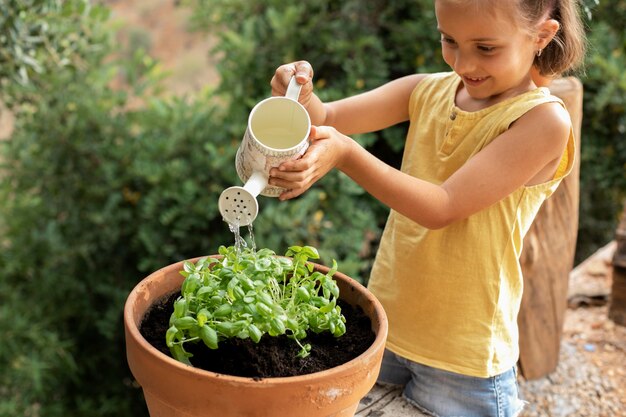 Close up on transplanting process of plants