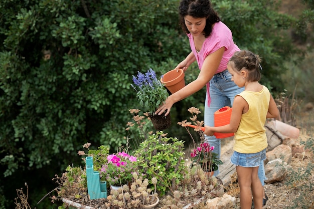 Close up on transplanting process of plants