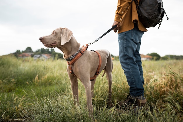 Close up traveler walking with dog