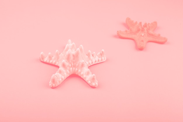 Free photo close-up of two starfish on the coral background