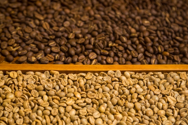 Free photo close-up two types of coffee beans background