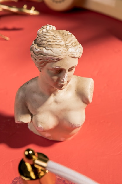 Close up venus bust on table 