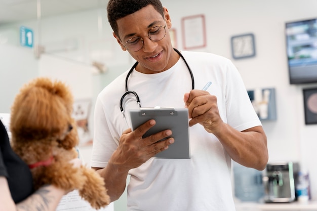 Close up on veterinarian taking care of pet