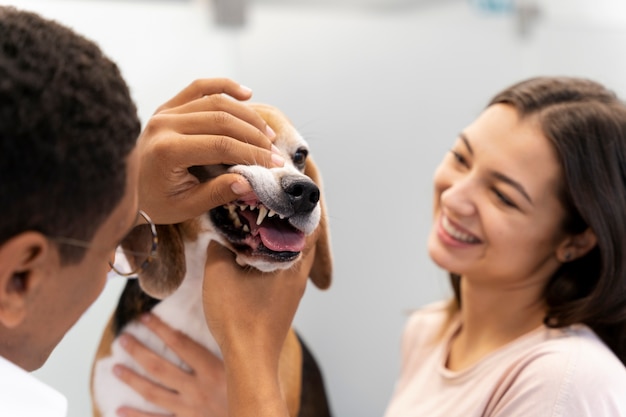 Free Photo close up on veterinarian taking care of pet