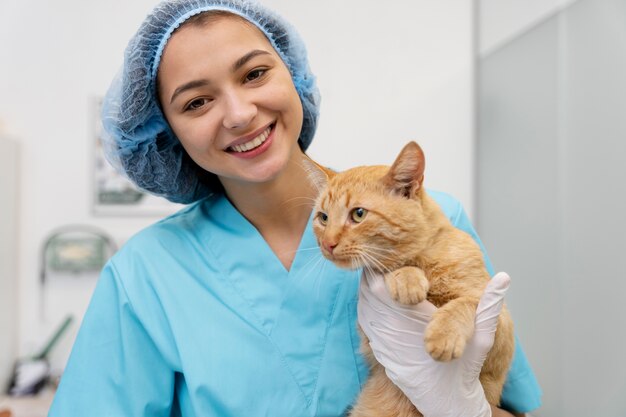 Close up on veterinarian taking care of pet