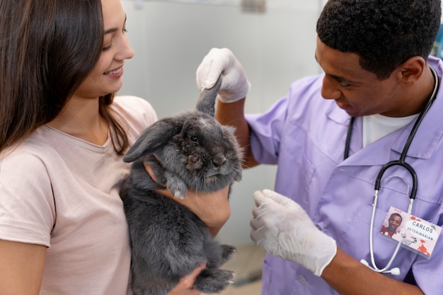 Free Photo close up on veterinarian taking care of pet