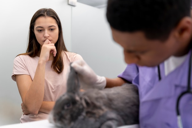 Free photo close up on veterinarian taking care of pet