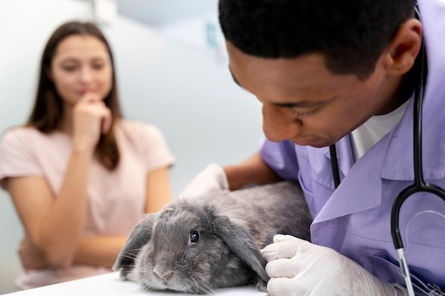 Free Photo close up on veterinarian taking care of pet