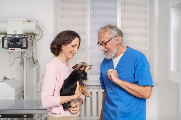 Close up on veterinary doctor taking care of pet