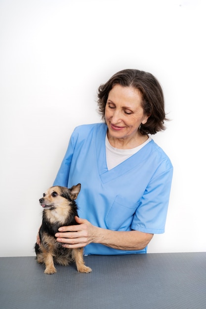 Close up on veterinary doctor taking care of pet