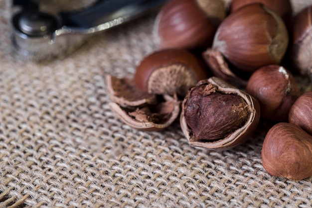 Close-up view of chestnuts