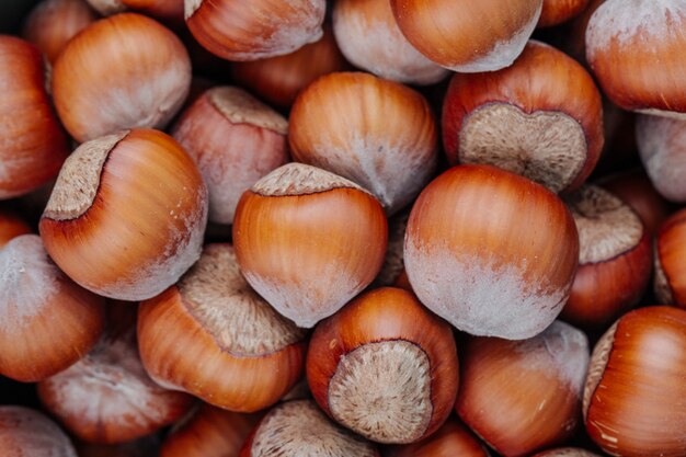 Close up view of hazelnuts in shell