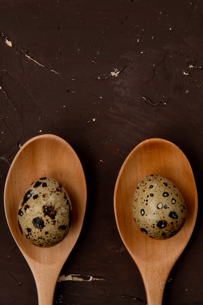 Free photo close-up view of mini eggs on wooden spoons on brown background with copy space