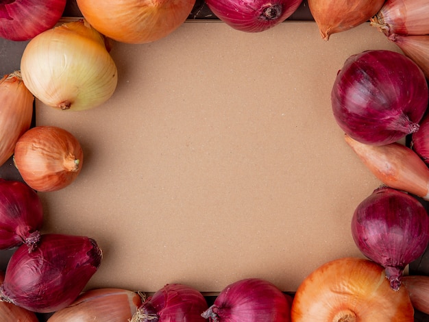 Close-up view of onions set in circular shape with copy space