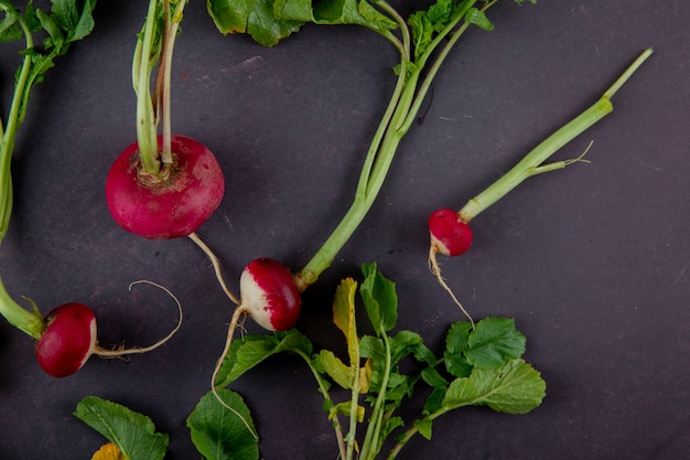 Free Photo close-up view of red radishes on maroon background with copy space 1