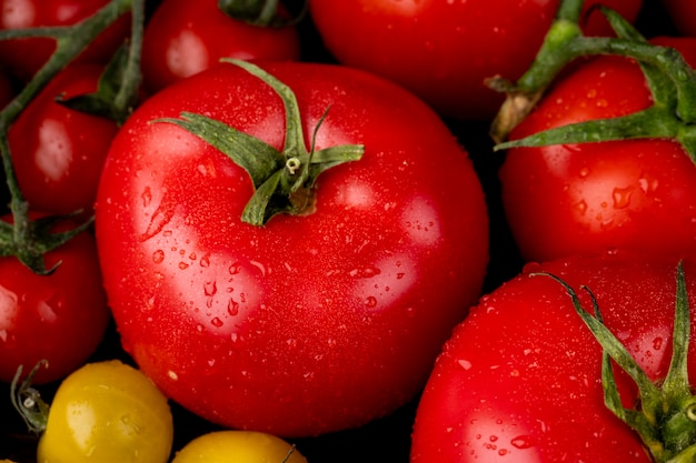 Free photo close-up view of tomatoes