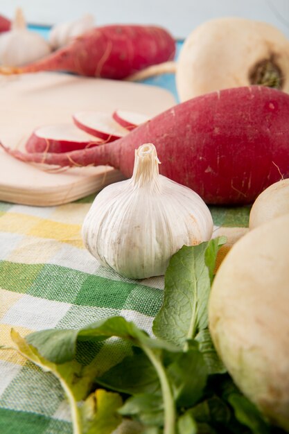 Close-up view of vegetables as garlic and radish on plaid cloth surface